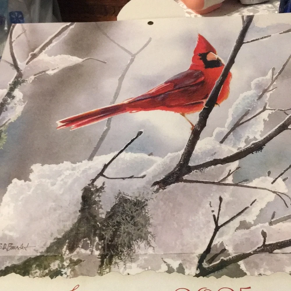 LANG Songbirds 2025 Calendar - GREAT FOR CRAFTS